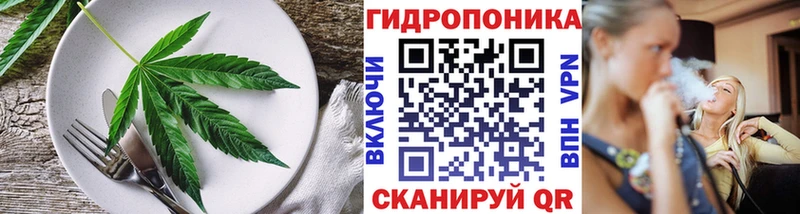 Canna-Cookies марихуана  Артёмовск 