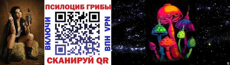 Псилоцибиновые грибы Psilocybe закладка Артёмовск